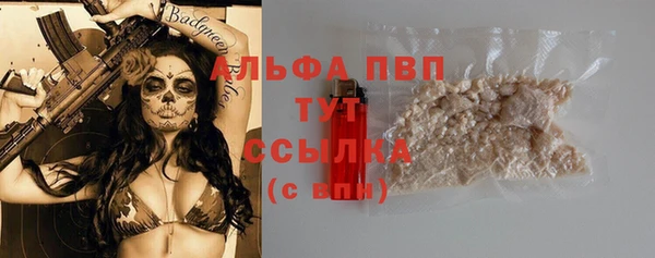 гидра Михайловка