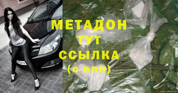 гидра Михайловка