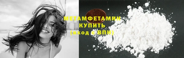 гидра Михайловка