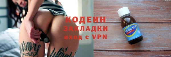 гидра Михайловка