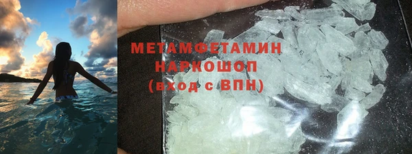 гидра Михайловка