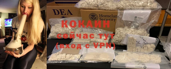 гидра Михайловка