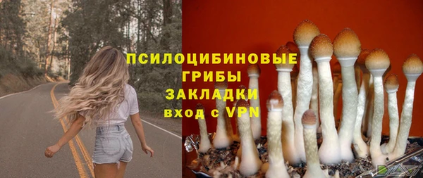 гидра Михайловка