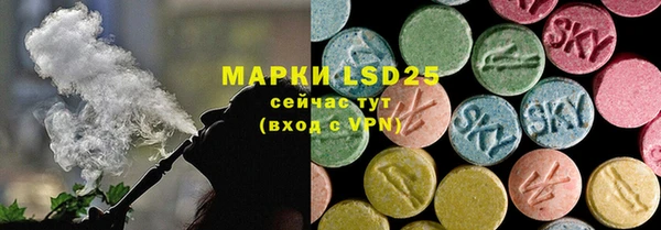 гидра Михайловка