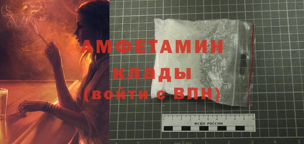гидра Михайловка